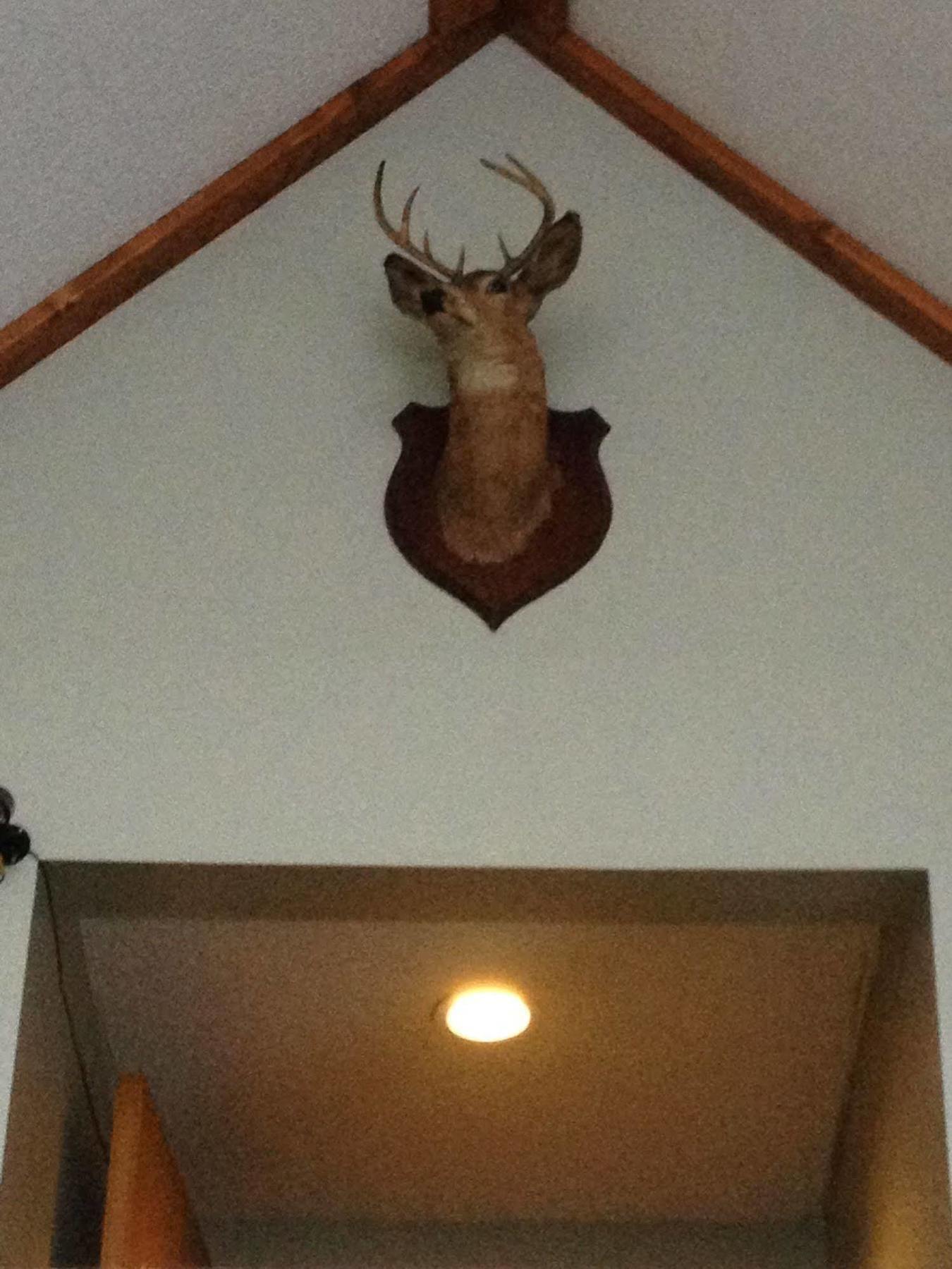 Chaffee Lodge Esterno foto